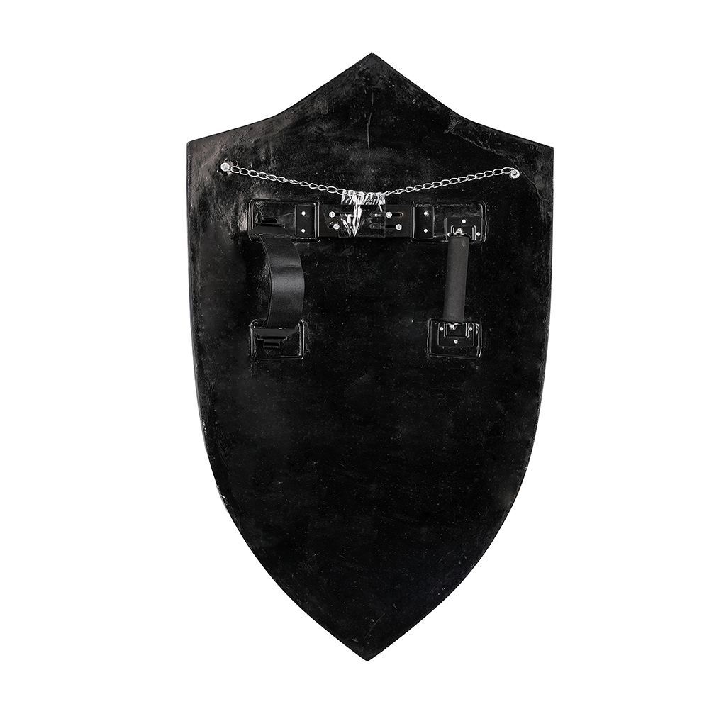 Zelda Breath of The Wild Resin Royal Guard Shield